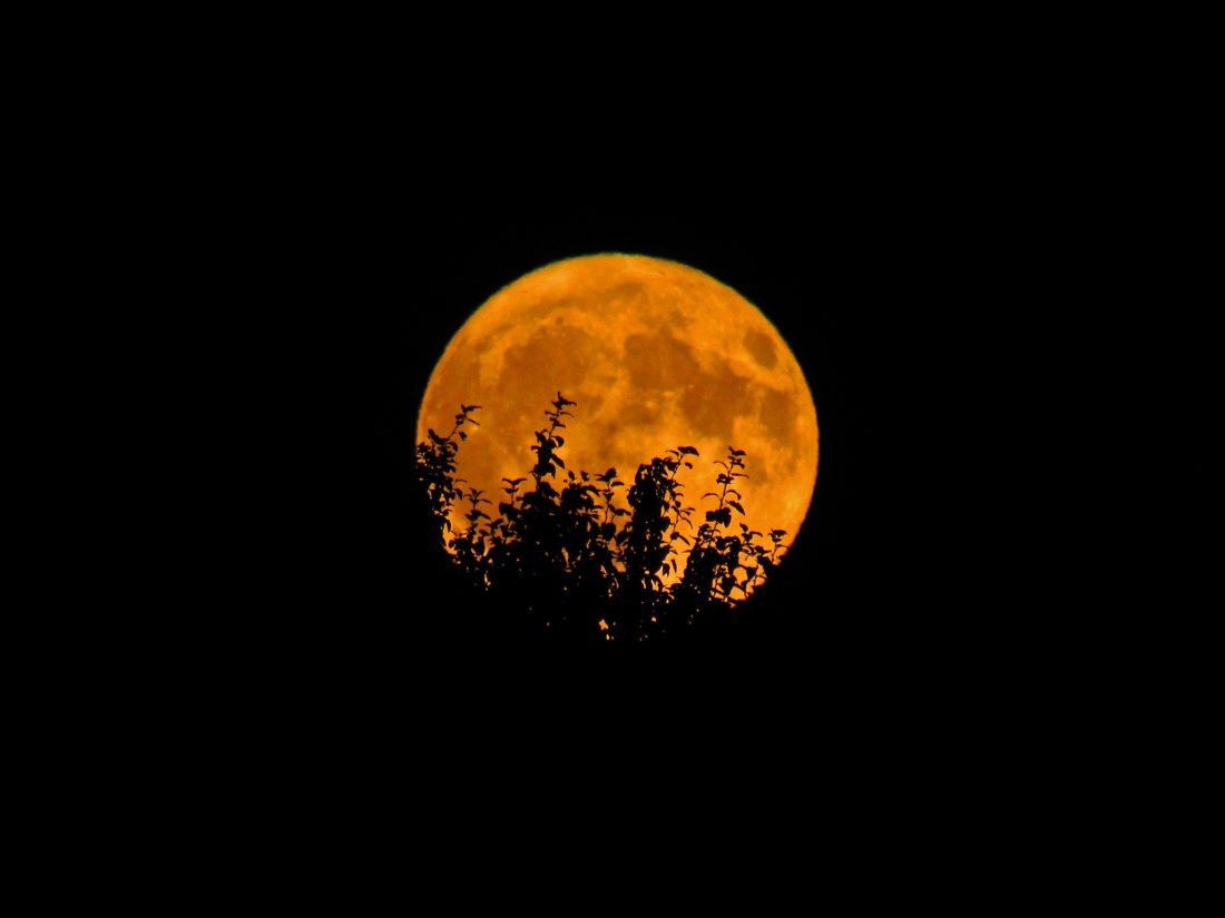Free photo of Orange Moon