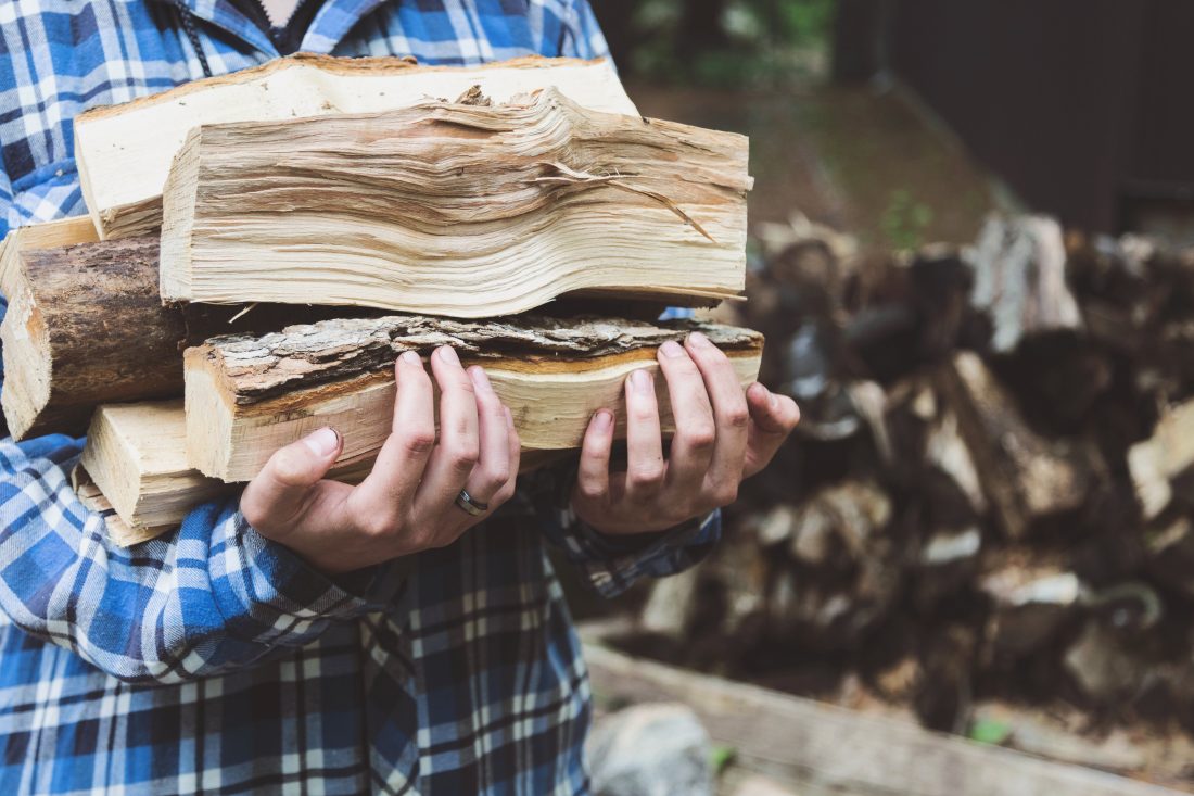 Free photo of Carrying Firewood