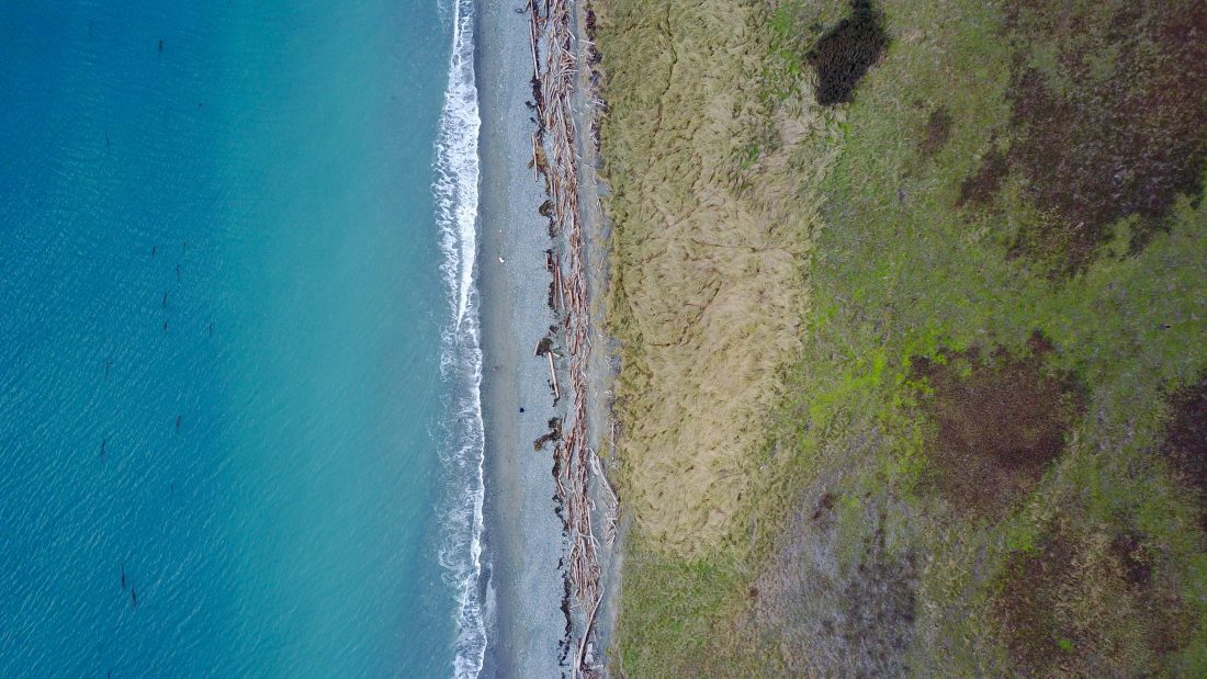 Free photo of Aerial Beach
