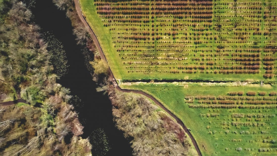 Free photo of Farm Land Aerial