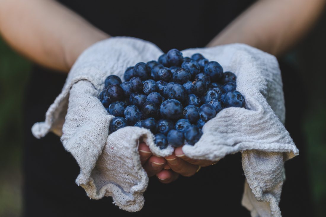 Free photo of Blueberries in Hands