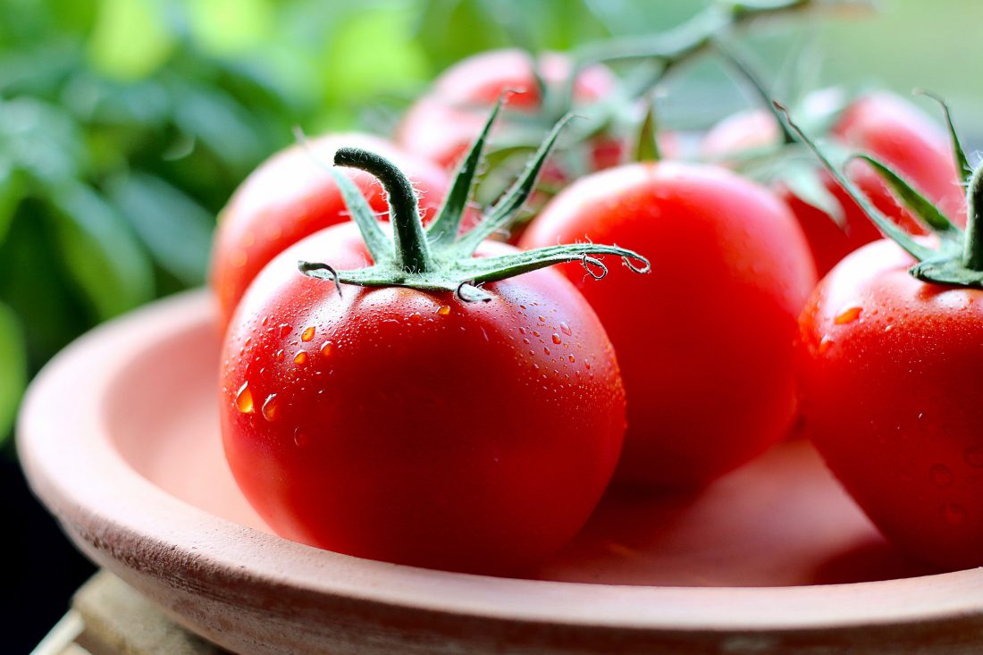 Free photo of Tomatoes on Vine