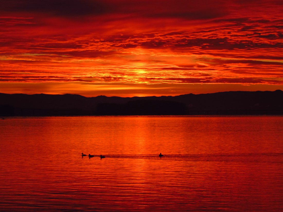 Free photo of Red Sunset Lake