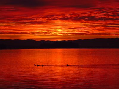 Red Sunset Lake Free Stock Photo