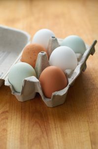 Farm Fresh Eggs Free Stock Photo