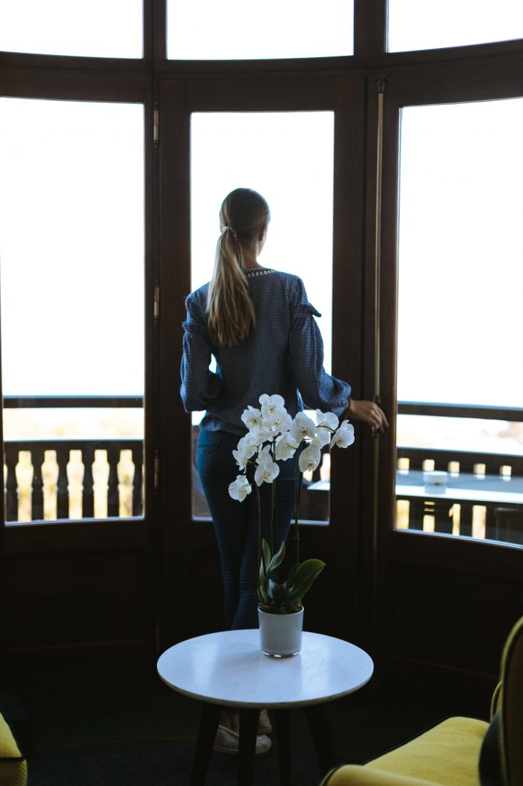 Free photo of Orchid woman window