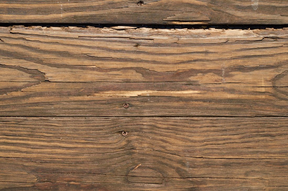Free photo of Rustic Wood Texture