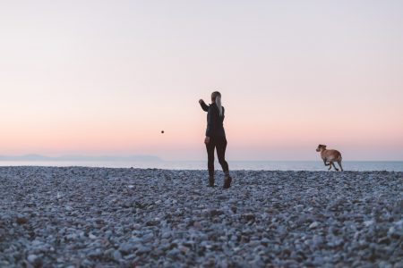 Walking Dog on Beach Free Stock Photo