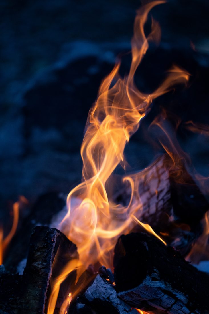 Free photo of Camp Fire Wood