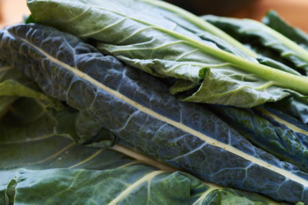 Fresh Kale Macro Free Stock Photo