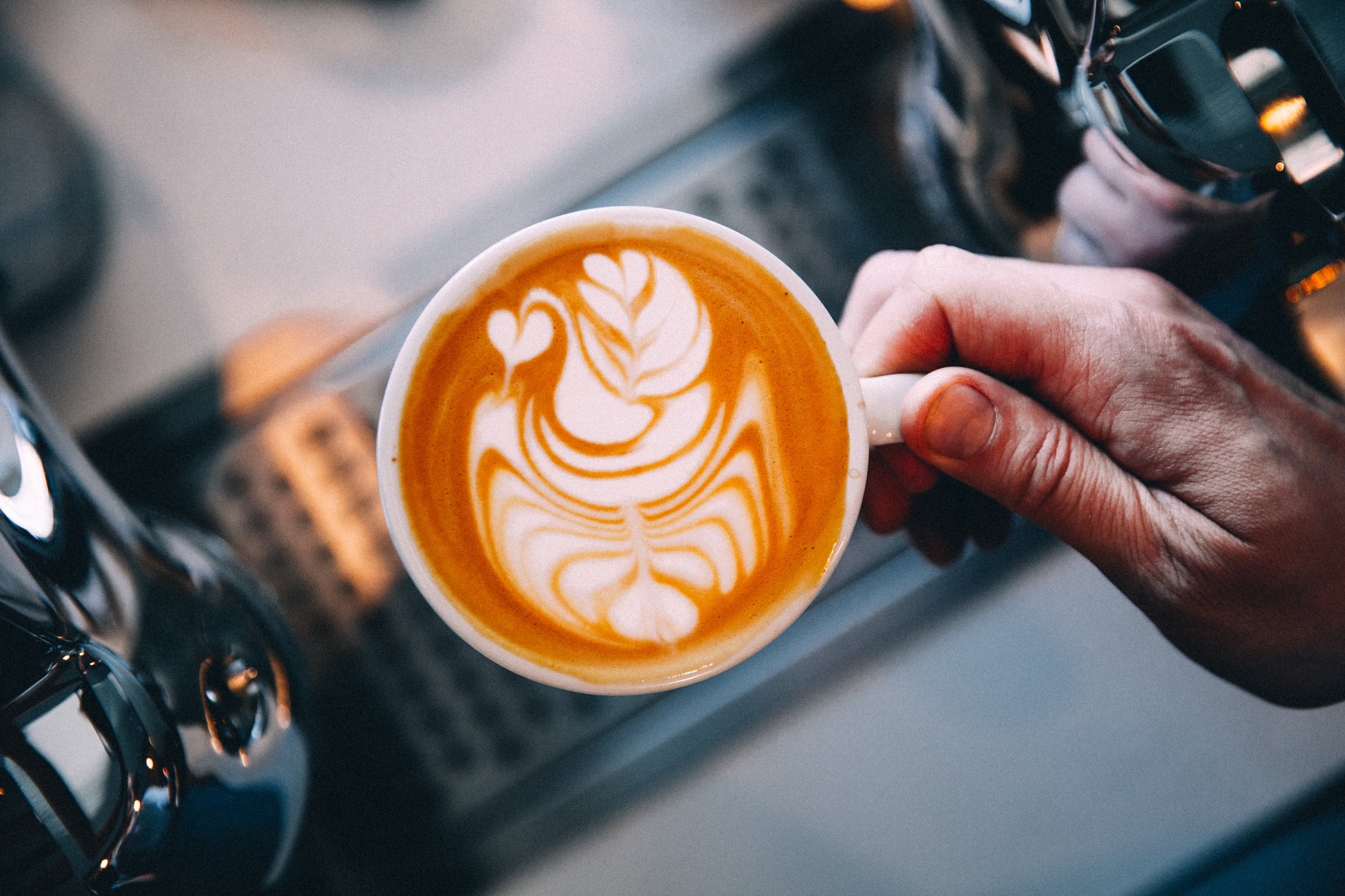 shot-stash-bird-image-in-latte-art.jpg