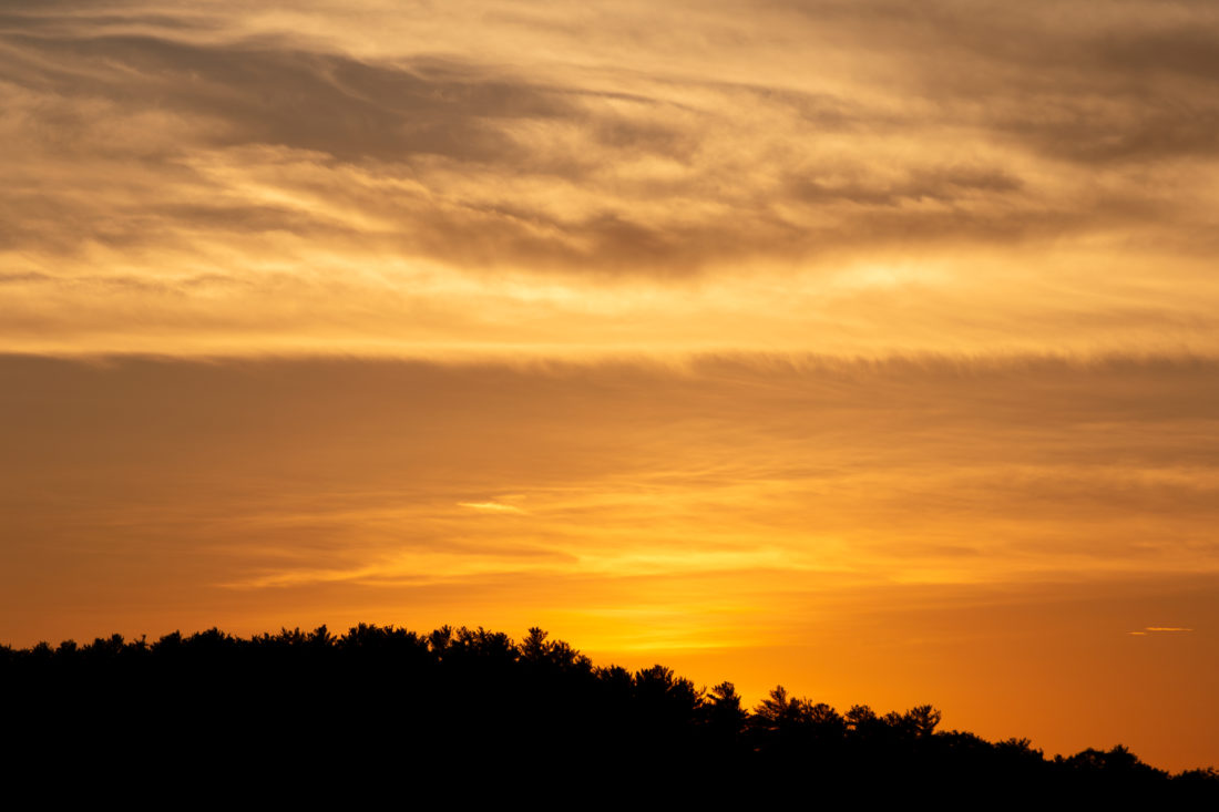 Free photo of Golden Sunset