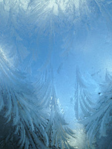 Frost on Window Free Stock Photo