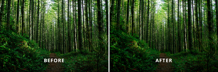 Ethereal Forest - Adobe Lightroom Presets